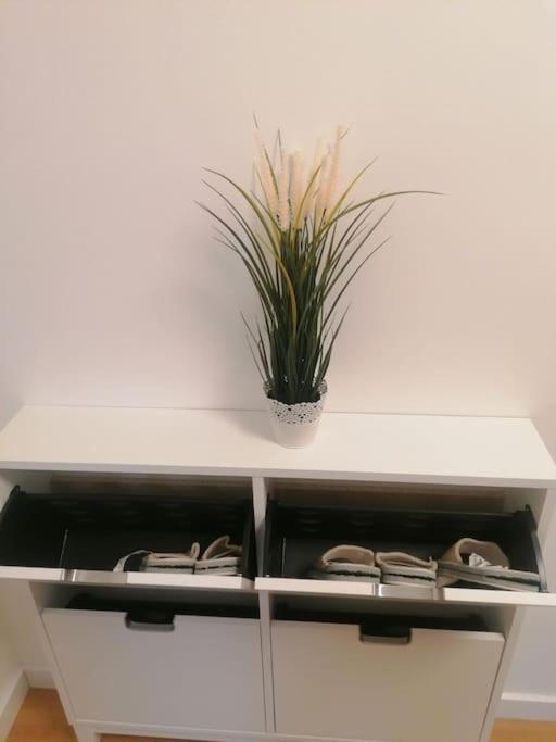 Apartment Green Lux Belgrado Buitenkant foto
